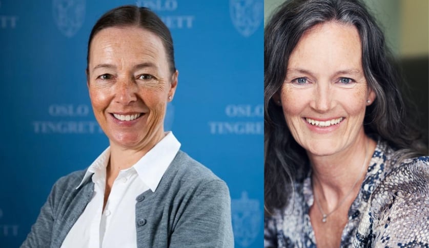 Rikke Lassen og Elisabeth Gording Stang har skrevet  lovkommentarer til den nye barnevernsloven for Karnov Group Norway